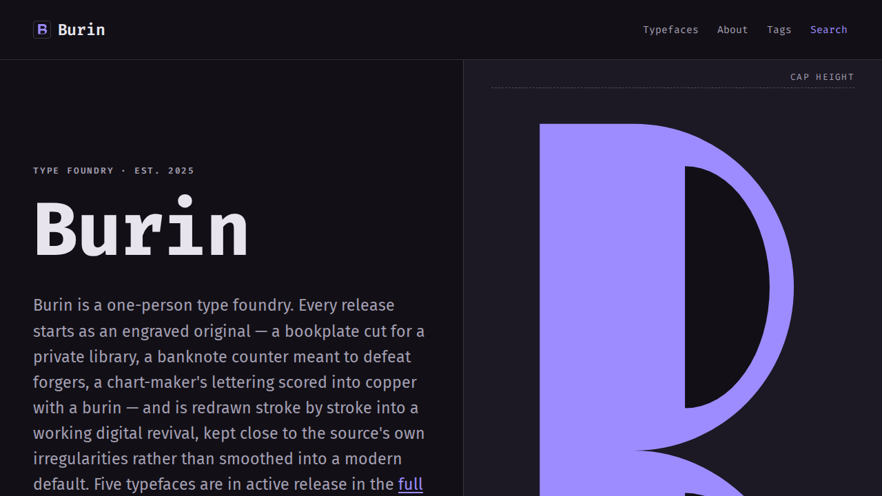 Screenshot of the burin example site
