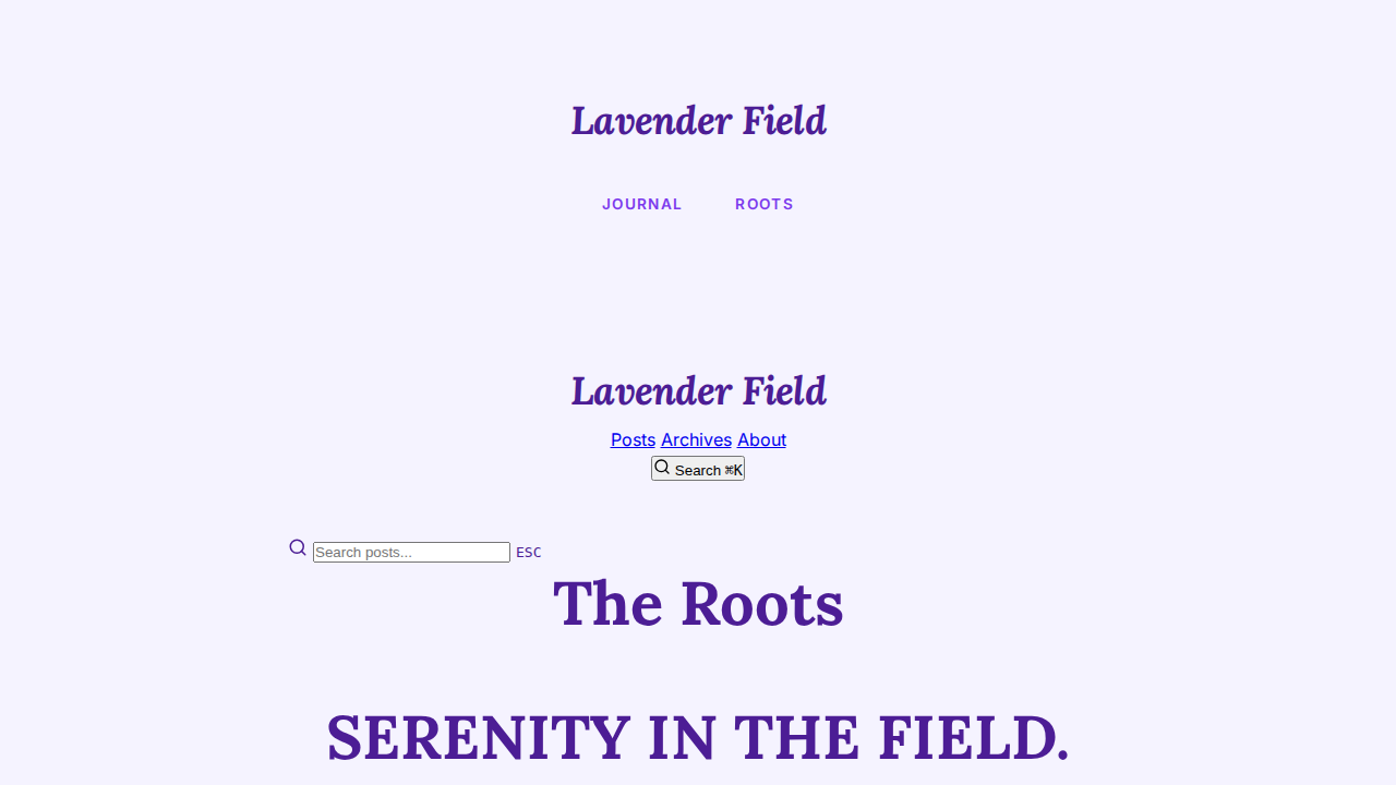 lavender-field